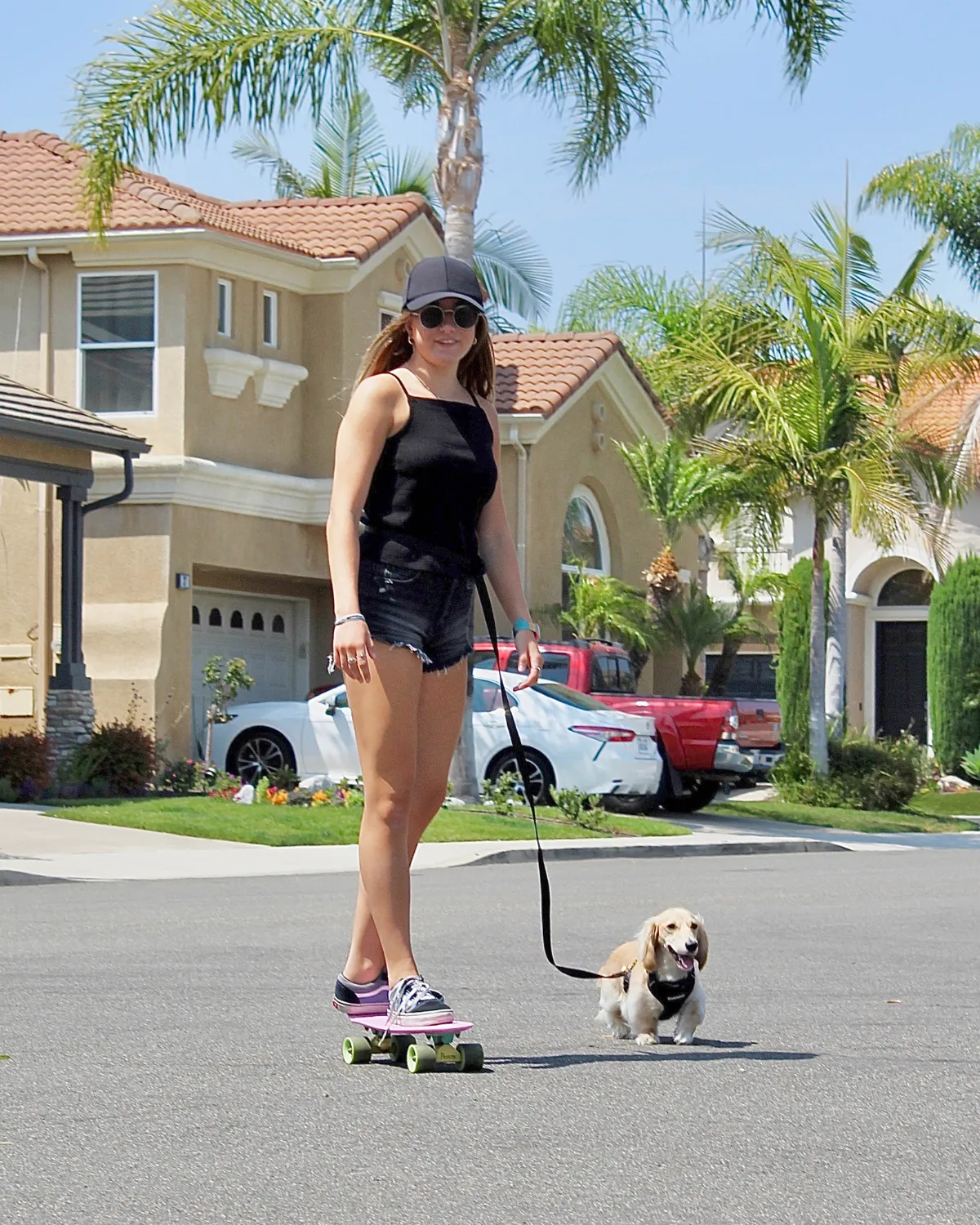 Adjustable Hands-Free Adventure Dog Leash - Quartz Pink