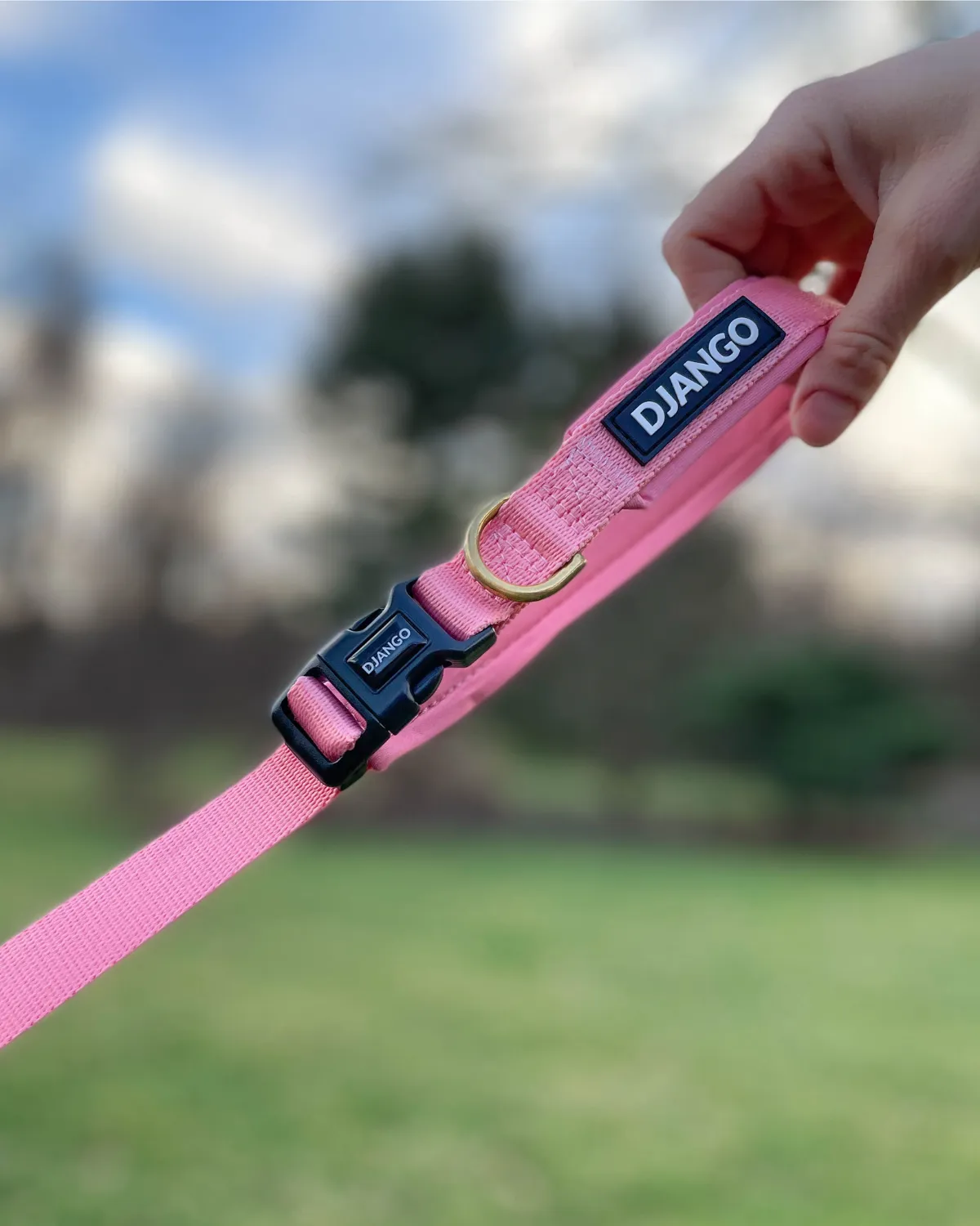 Adjustable Hands-Free Adventure Dog Leash - Quartz Pink