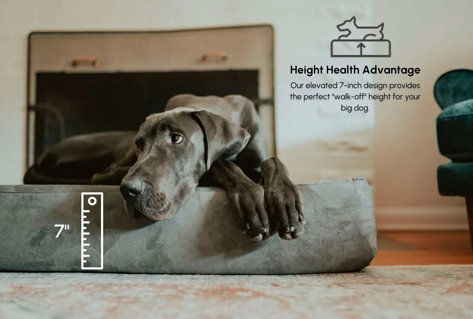 Big Barker Orthopedic Dog Bed