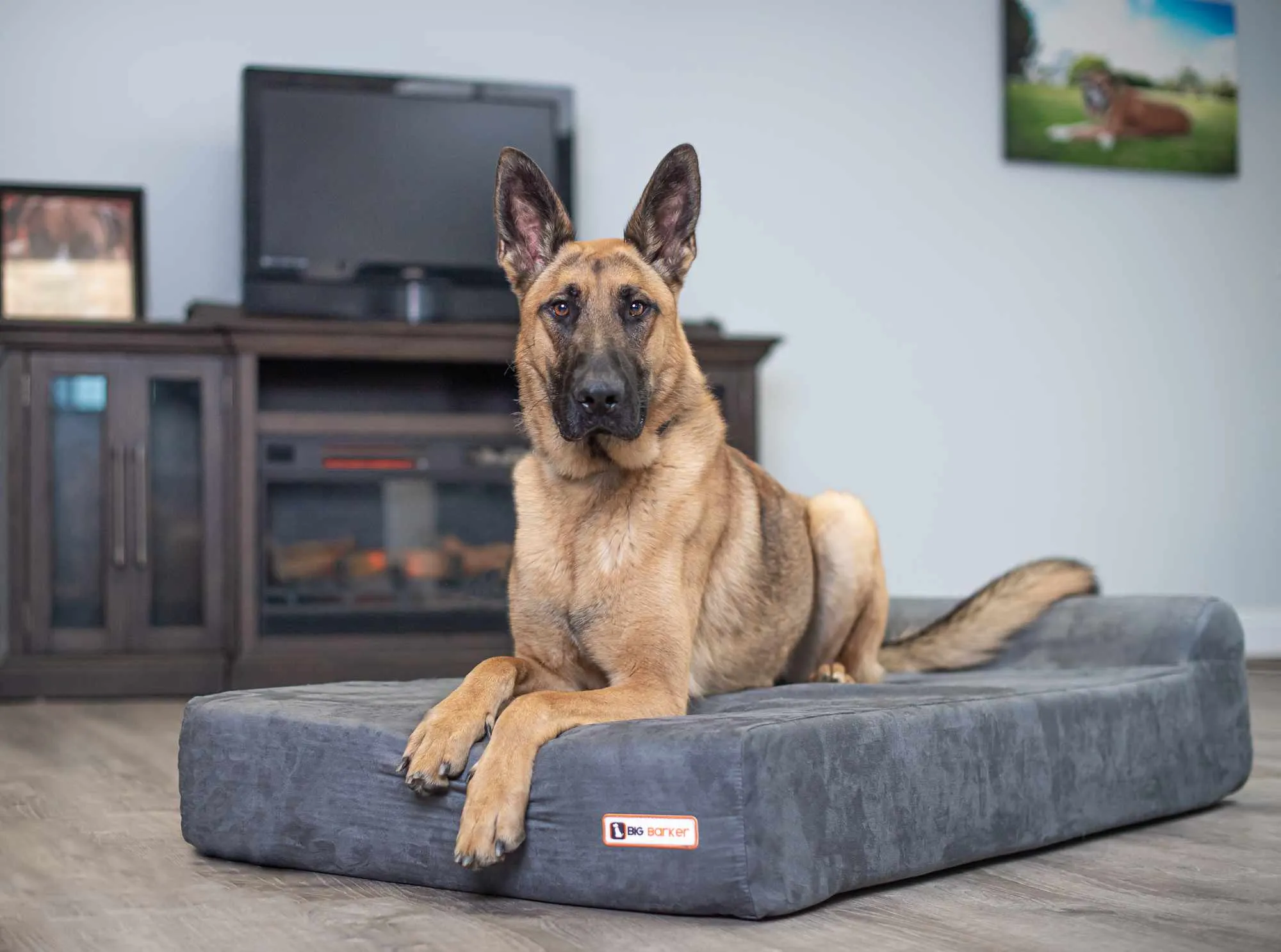 Big Barker Orthopedic Dog Bed