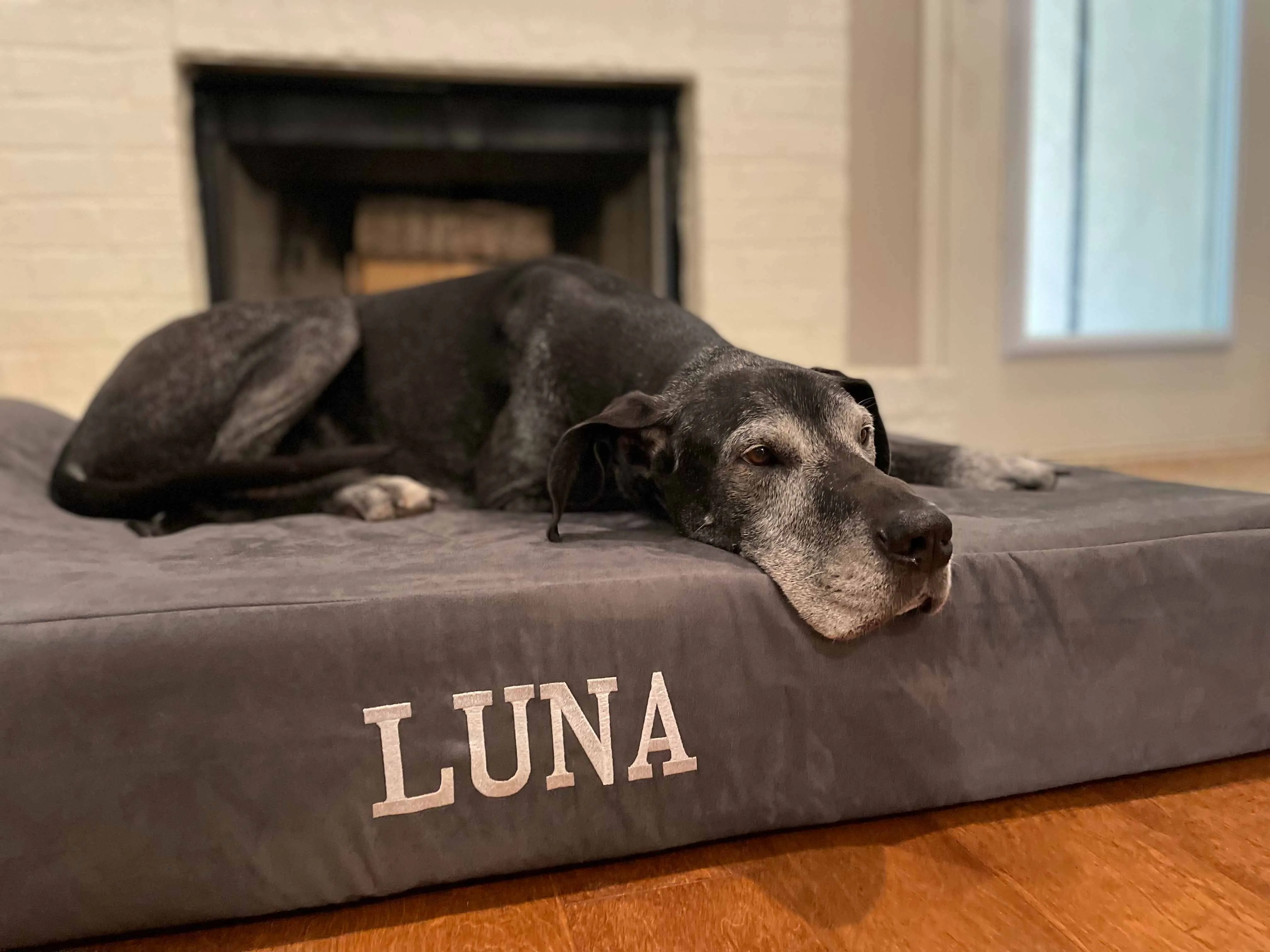 Big Barker Orthopedic Dog Bed