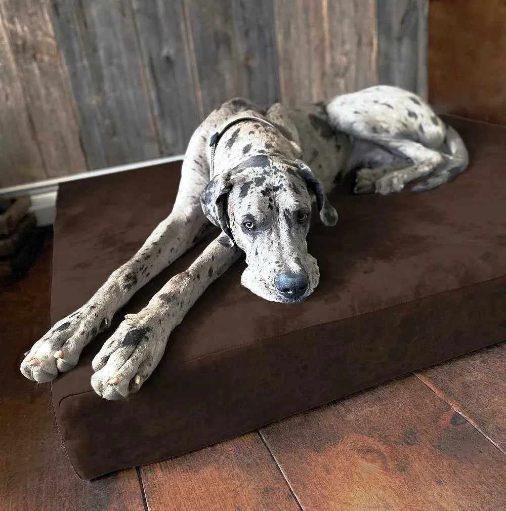 Big Barker Orthopedic Dog Bed