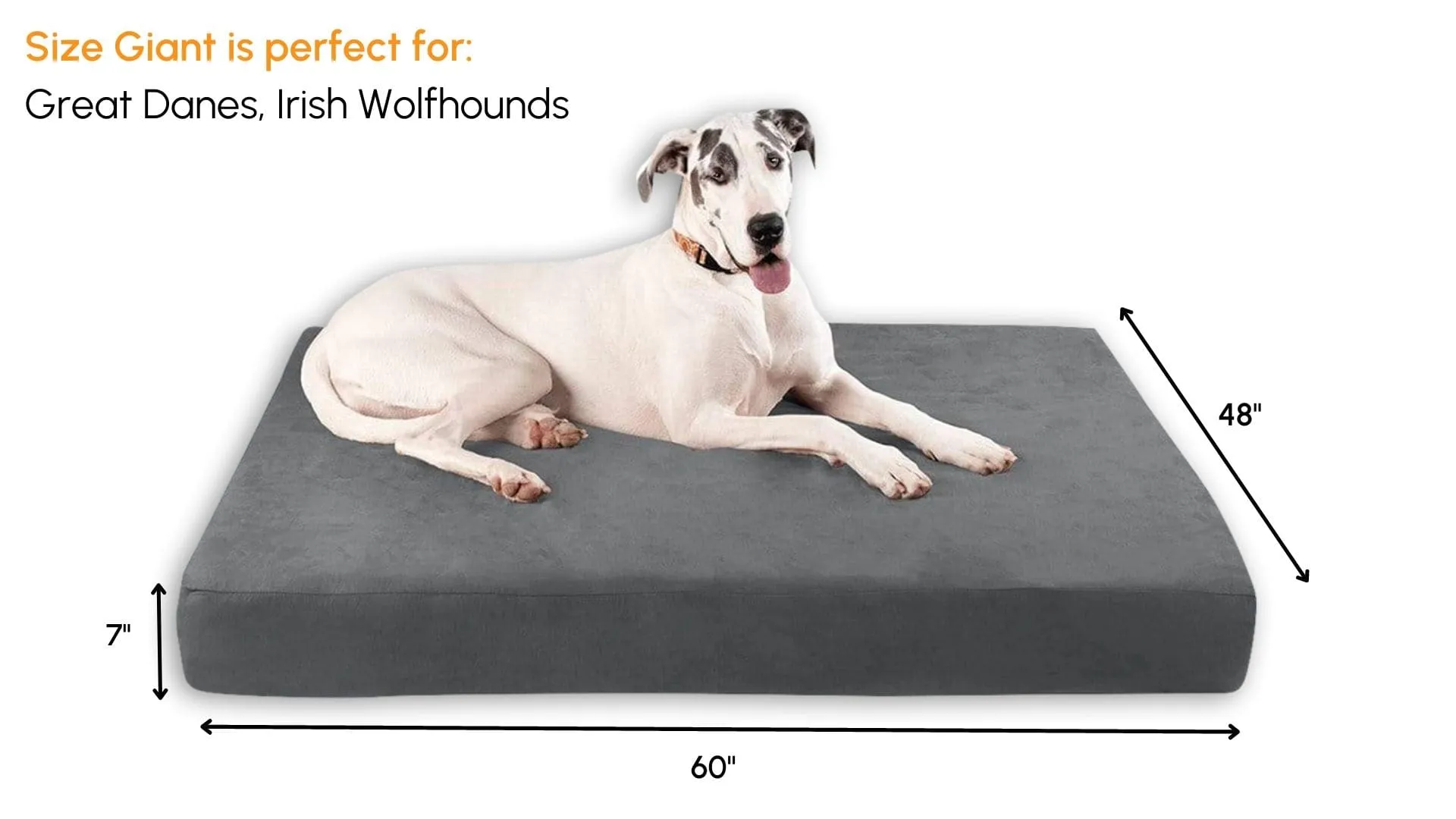 Big Barker Orthopedic Dog Bed