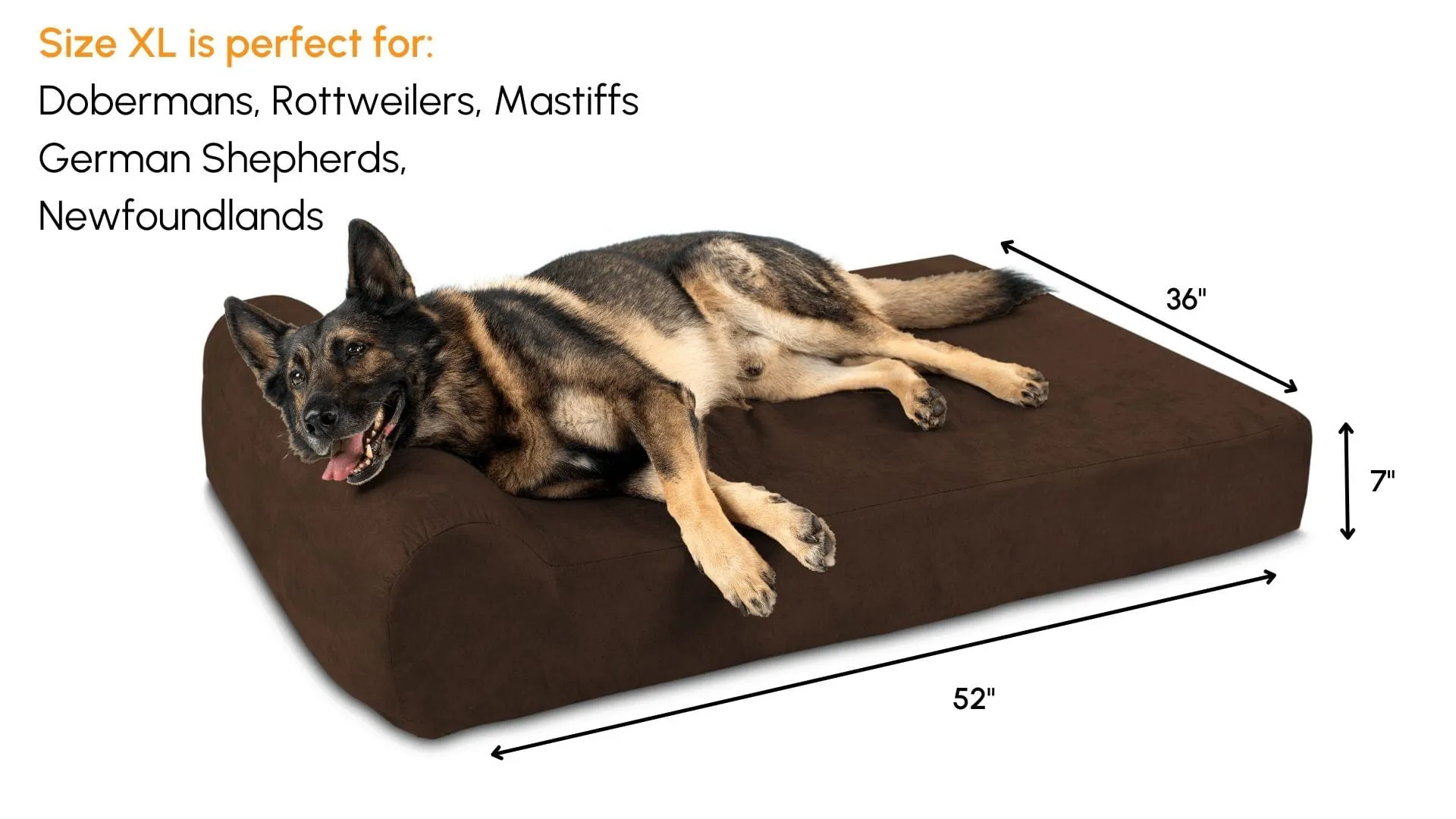Big Barker Orthopedic Dog Bed