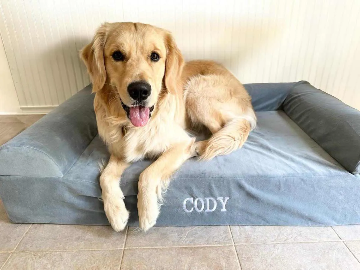 Big Barker Orthopedic Dog Bed