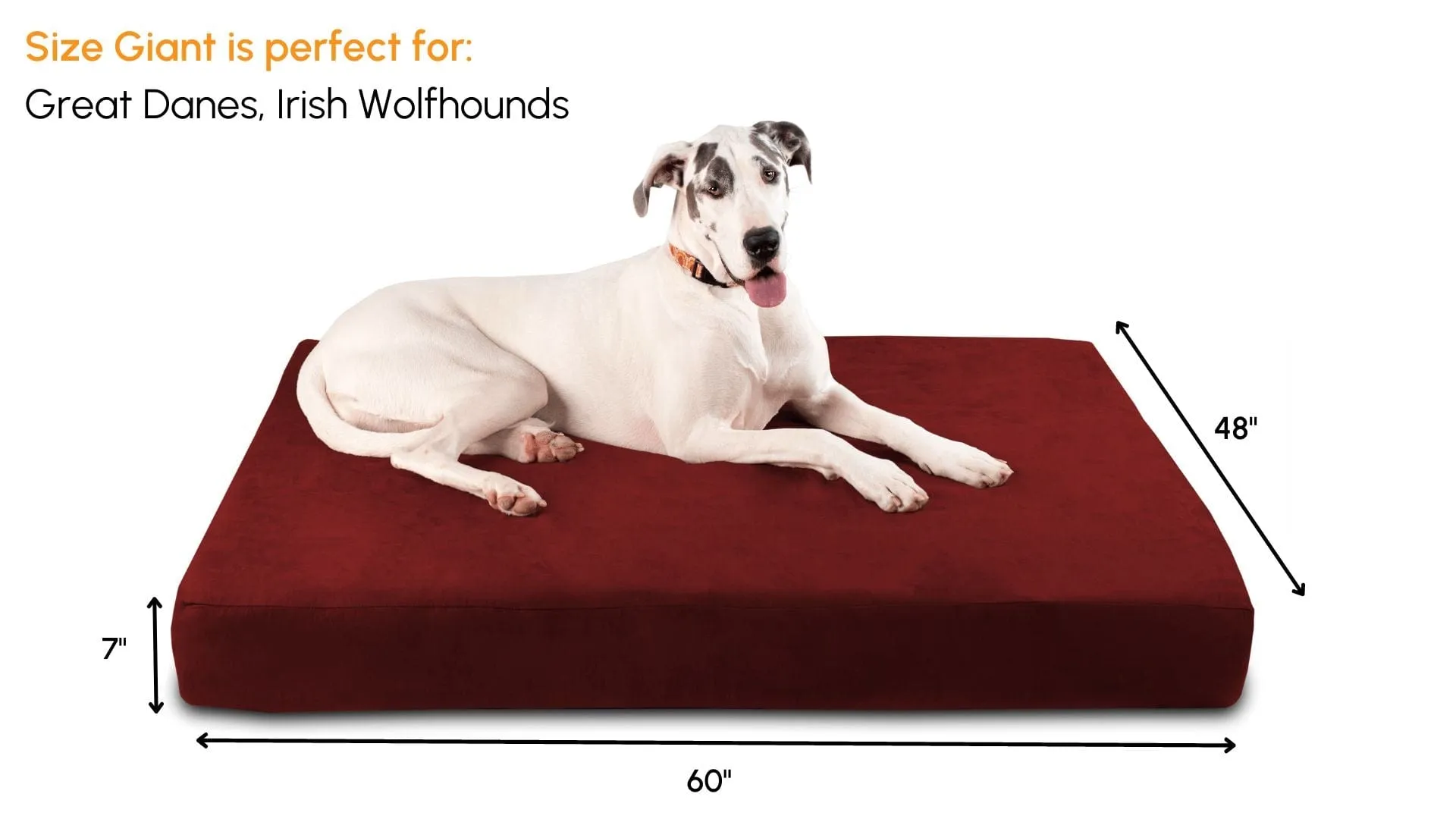 Big Barker Orthopedic Dog Bed