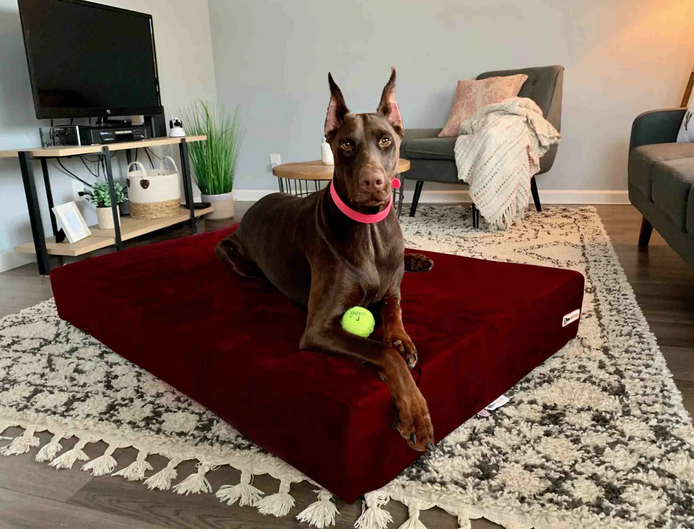 Big Barker Orthopedic Dog Bed