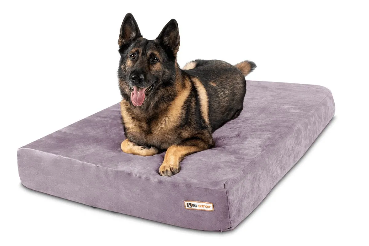 Big Barker Orthopedic Dog Bed