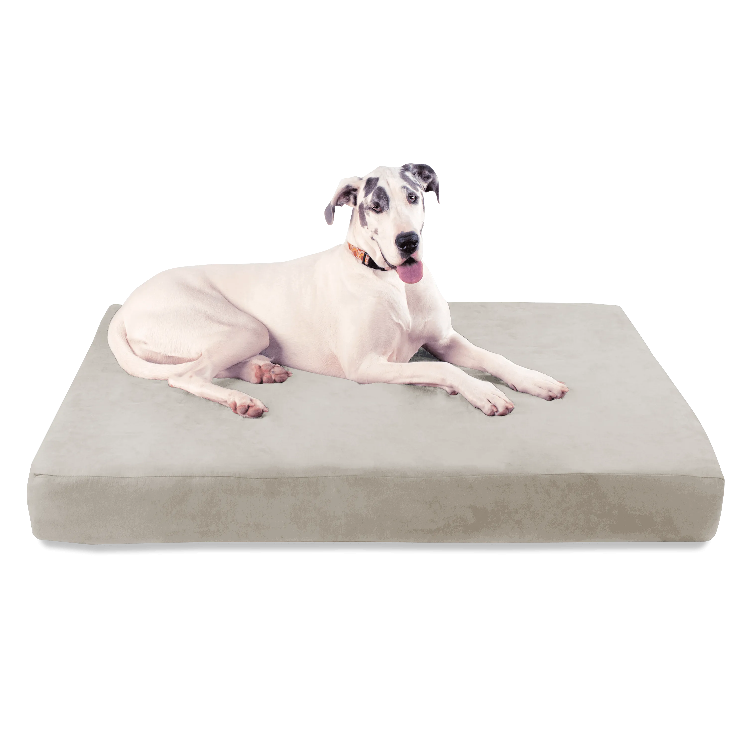 Big Barker Orthopedic Dog Bed
