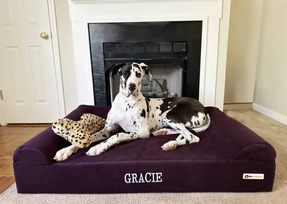 Big Barker Orthopedic Dog Bed