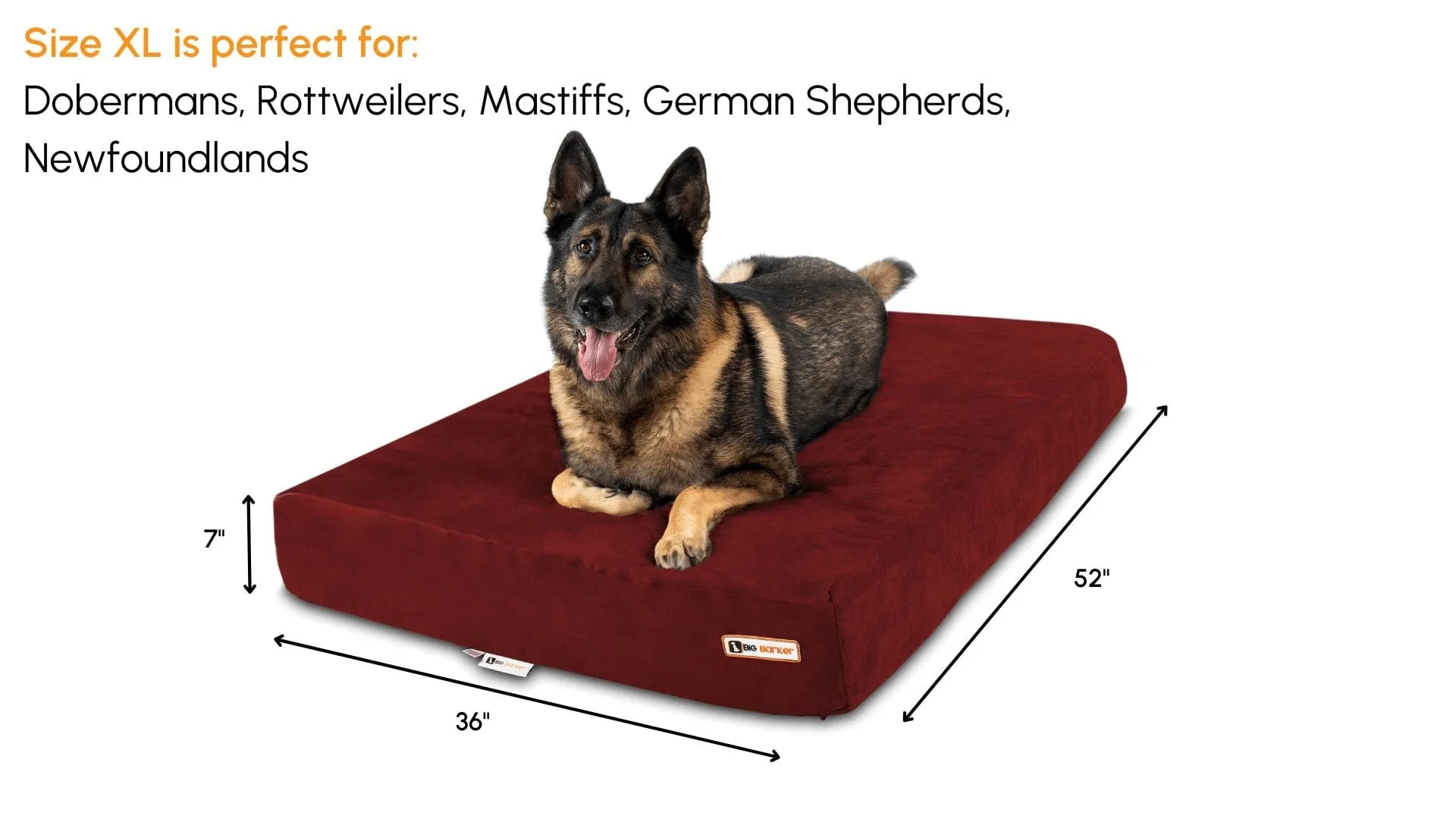 Big Barker Orthopedic Dog Bed