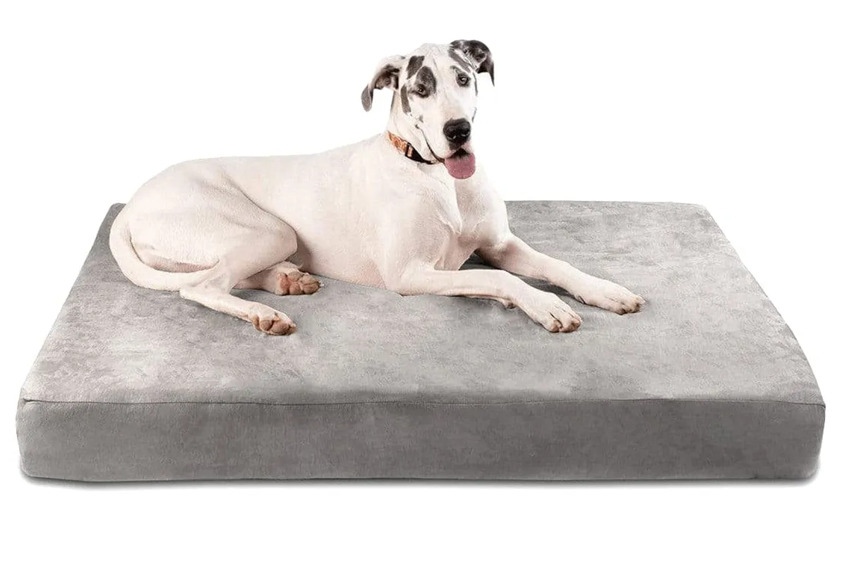 Big Barker Orthopedic Dog Bed