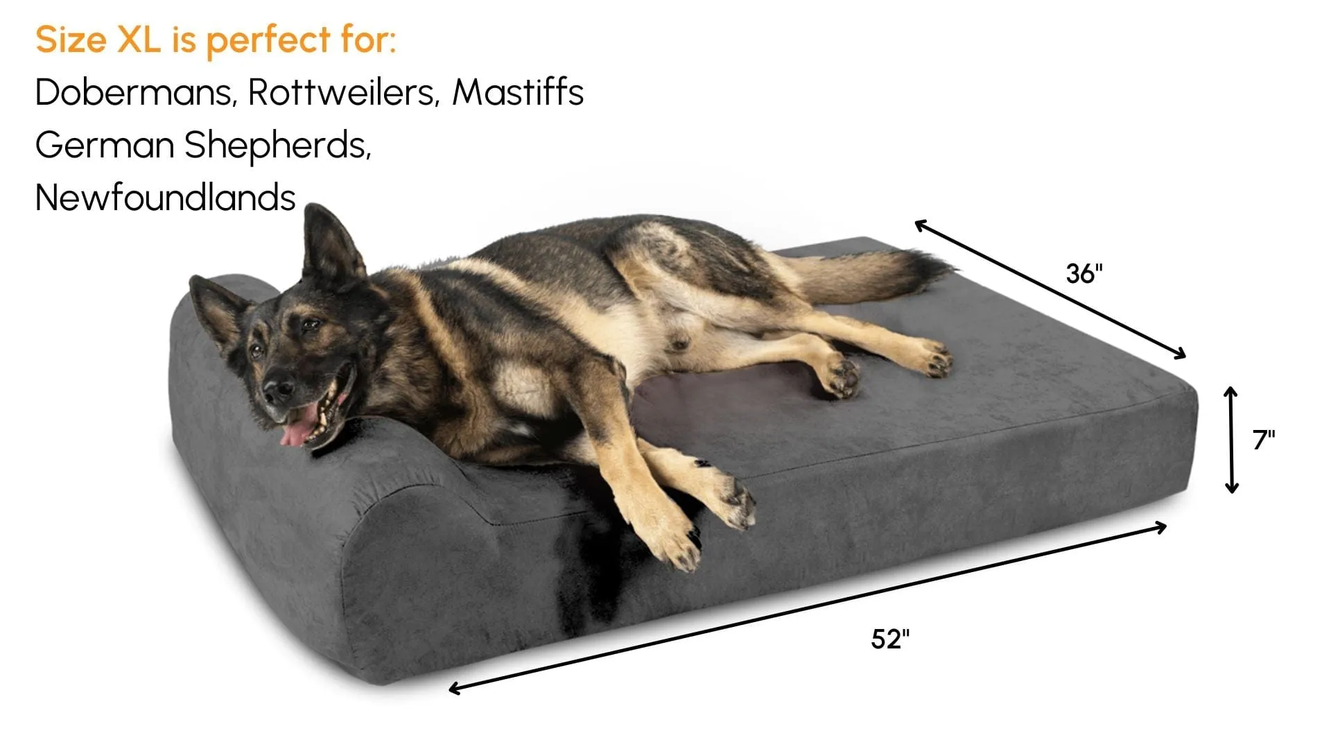 Big Barker Orthopedic Dog Bed