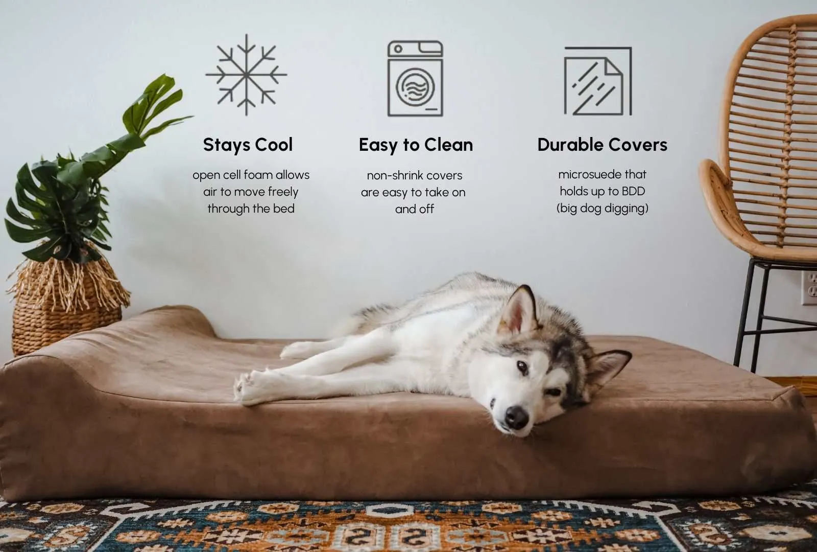 Big Barker Orthopedic Dog Bed