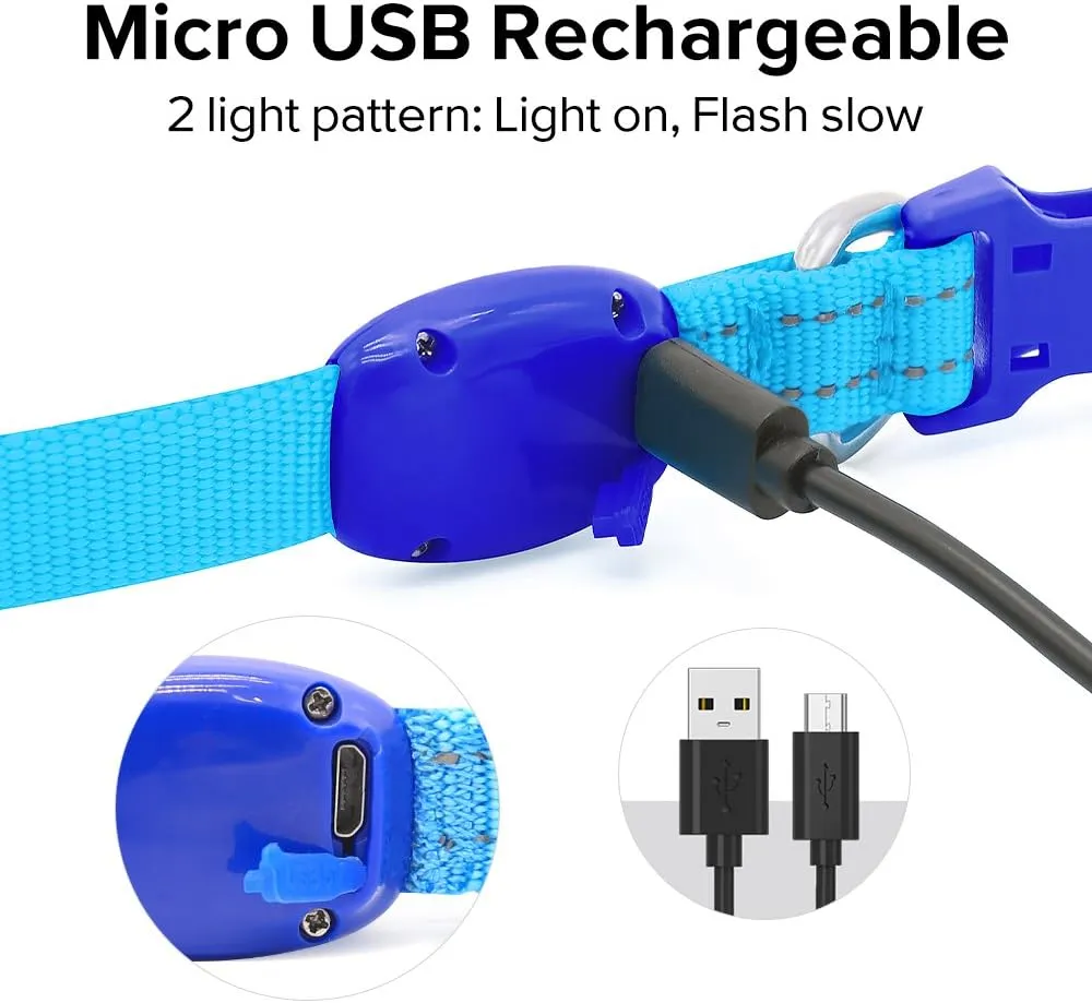 Candofly Light Up Dog Collar - Rechargeable Glowing Puppy Collar Dog Lights for Night Walking (X-Small, Blue)