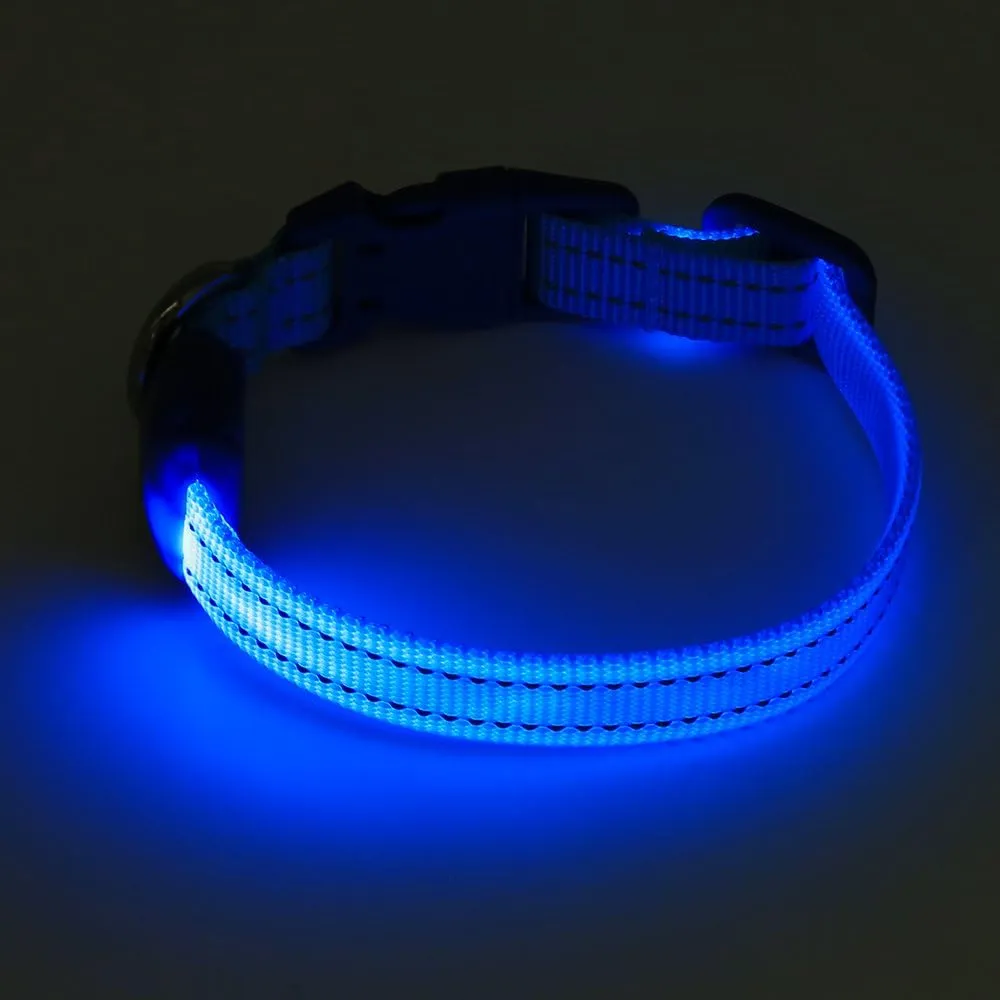 Candofly Light Up Dog Collar - Rechargeable Glowing Puppy Collar Dog Lights for Night Walking (X-Small, Blue)