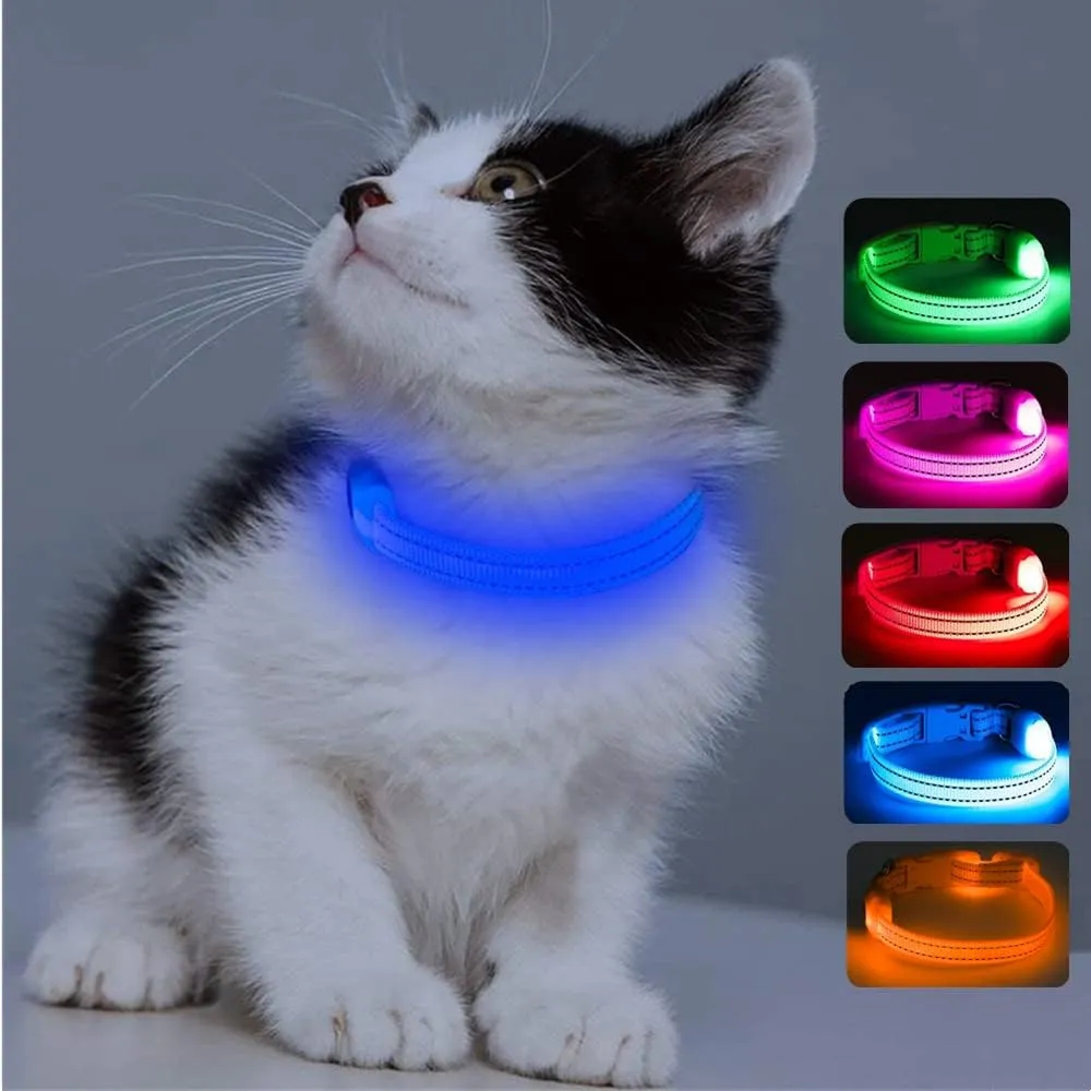 Candofly Light Up Dog Collar - Rechargeable Glowing Puppy Collar Dog Lights for Night Walking (X-Small, Blue)