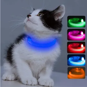 Candofly Light Up Dog Collar - Rechargeable Glowing Puppy Collar Dog Lights for Night Walking (X-Small, Blue)