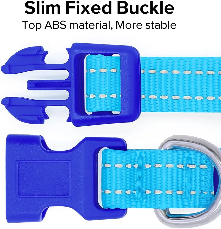 Candofly Light Up Dog Collar - Rechargeable Glowing Puppy Collar Dog Lights for Night Walking (X-Small, Blue)