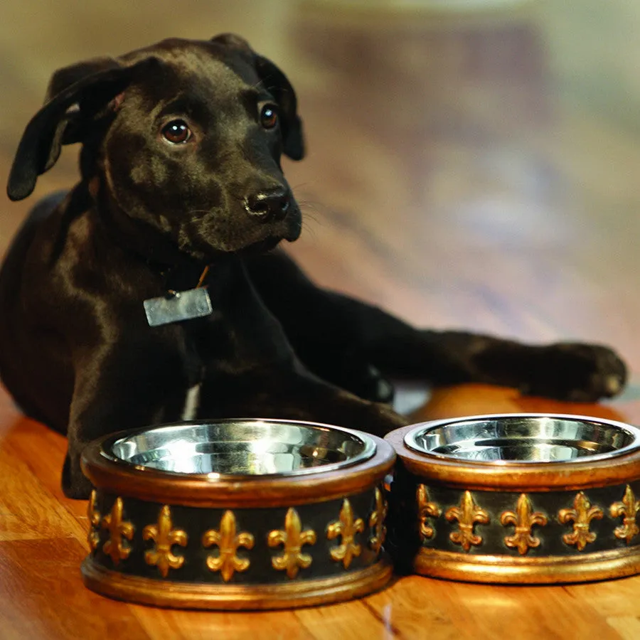 Chartres Designer Fleur de Lys Dog Bowls