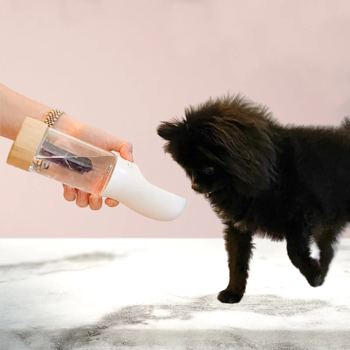 Crystal Infused Dog Water Bottle Green Aventurine