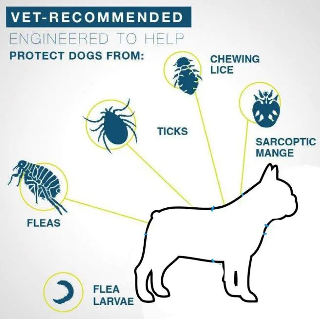 DEFEAX ™ PRO GUARD FLEA AND TICK COLLAR FOR FRENCHIES