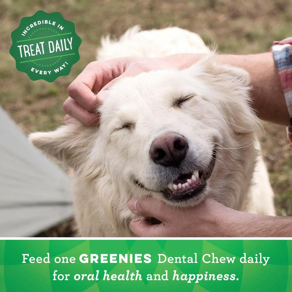 Greenies Original Dental Chews for Dogs, Treat-Pak, Petite