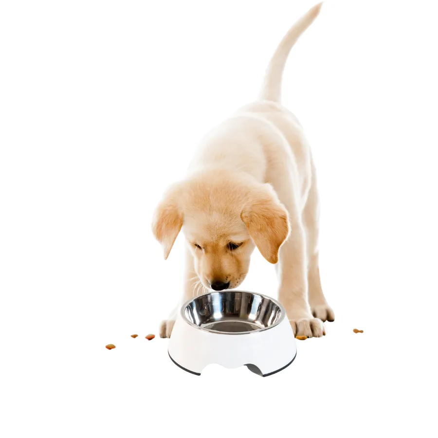 Houndztooth Chic White Bowl