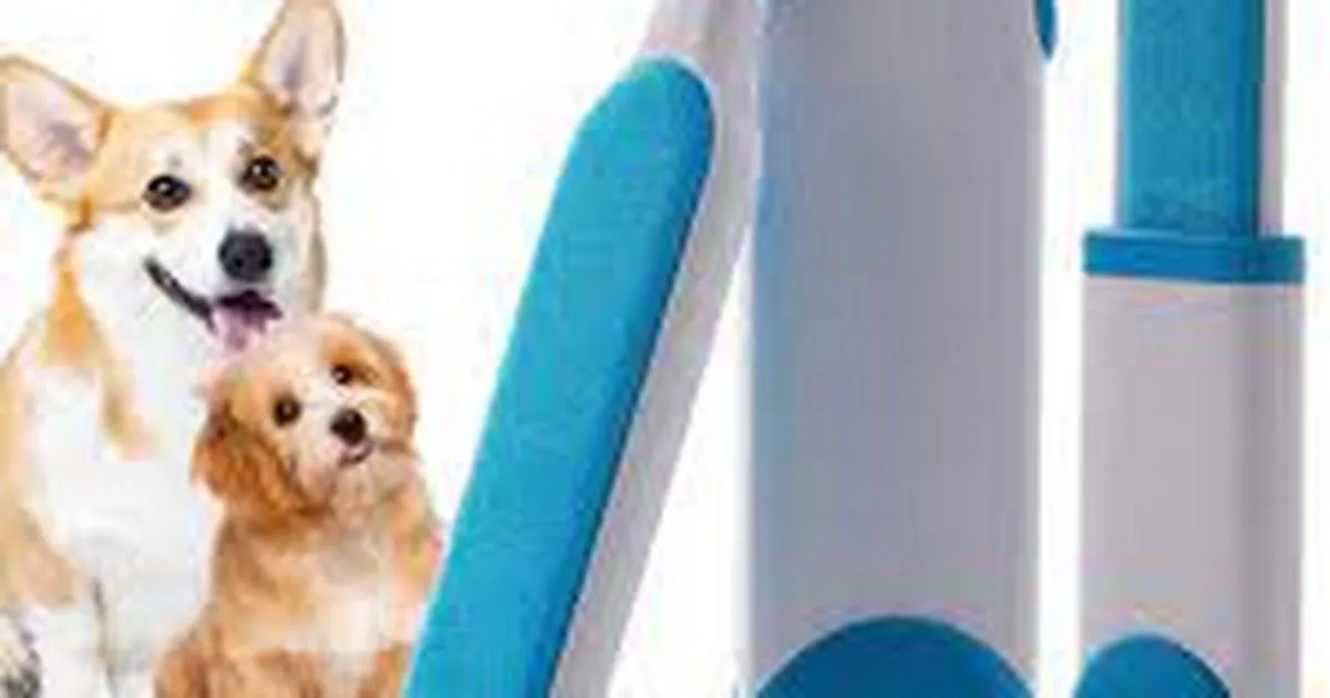 K Kudos Double-Sided Self-Cleaning and Reusable Lint Remover Pet Hair Dust for Clothing and Furniture