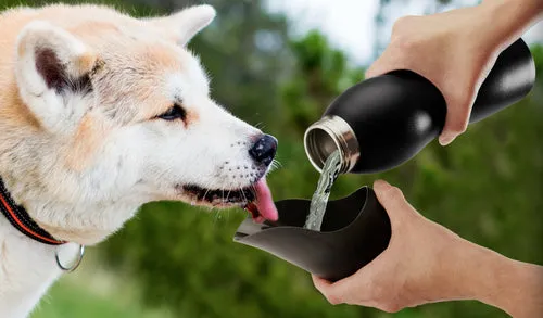 Mobile Dog Gear 25 Oz Water Bottle | PetPals®