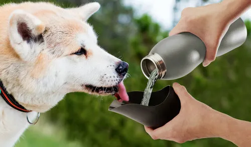 Mobile Dog Gear 25 Oz Water Bottle | PetPals®