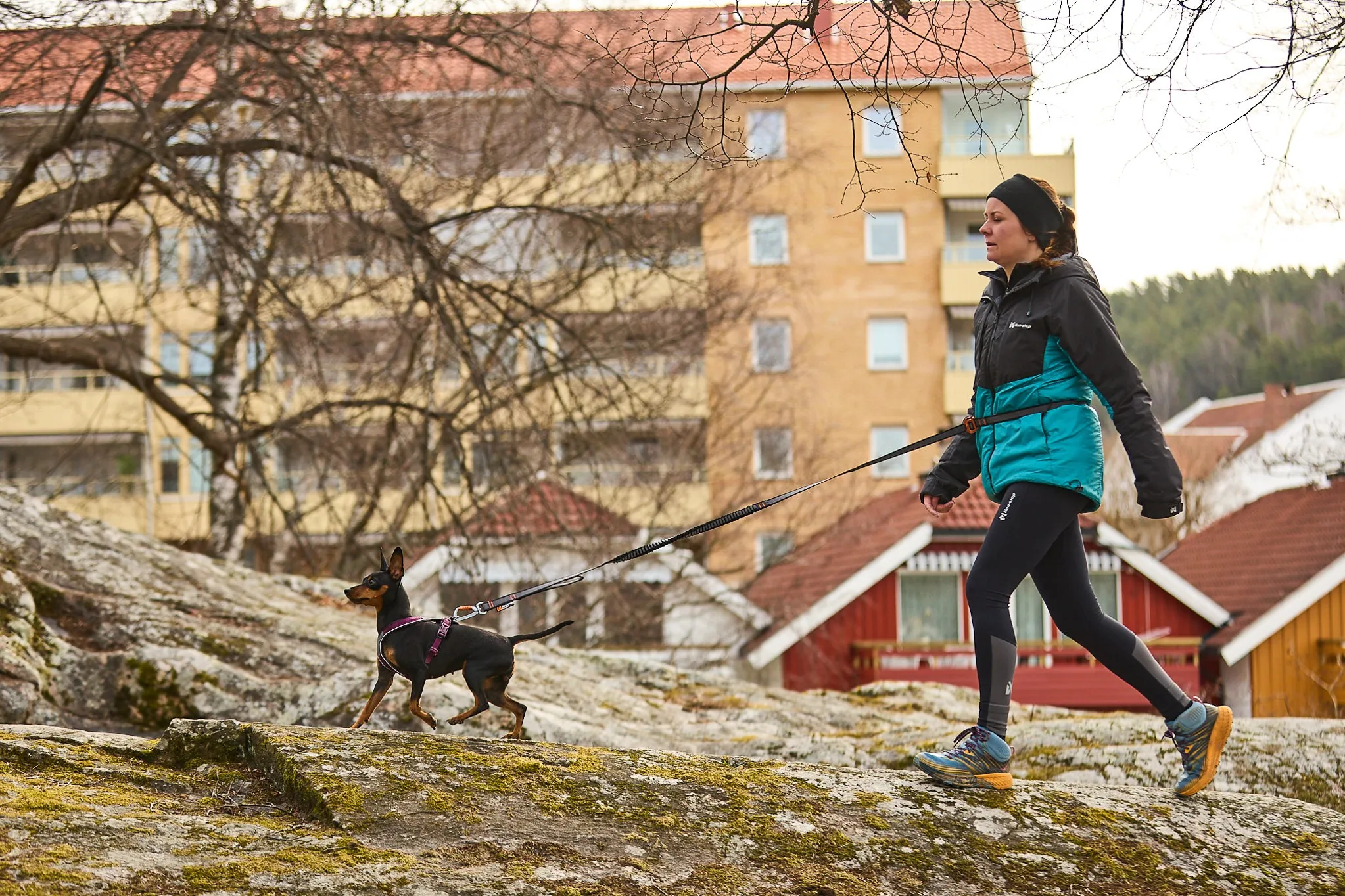 Non-Stop Dog Wear: Touring Bungee Adjustable Dog Leash