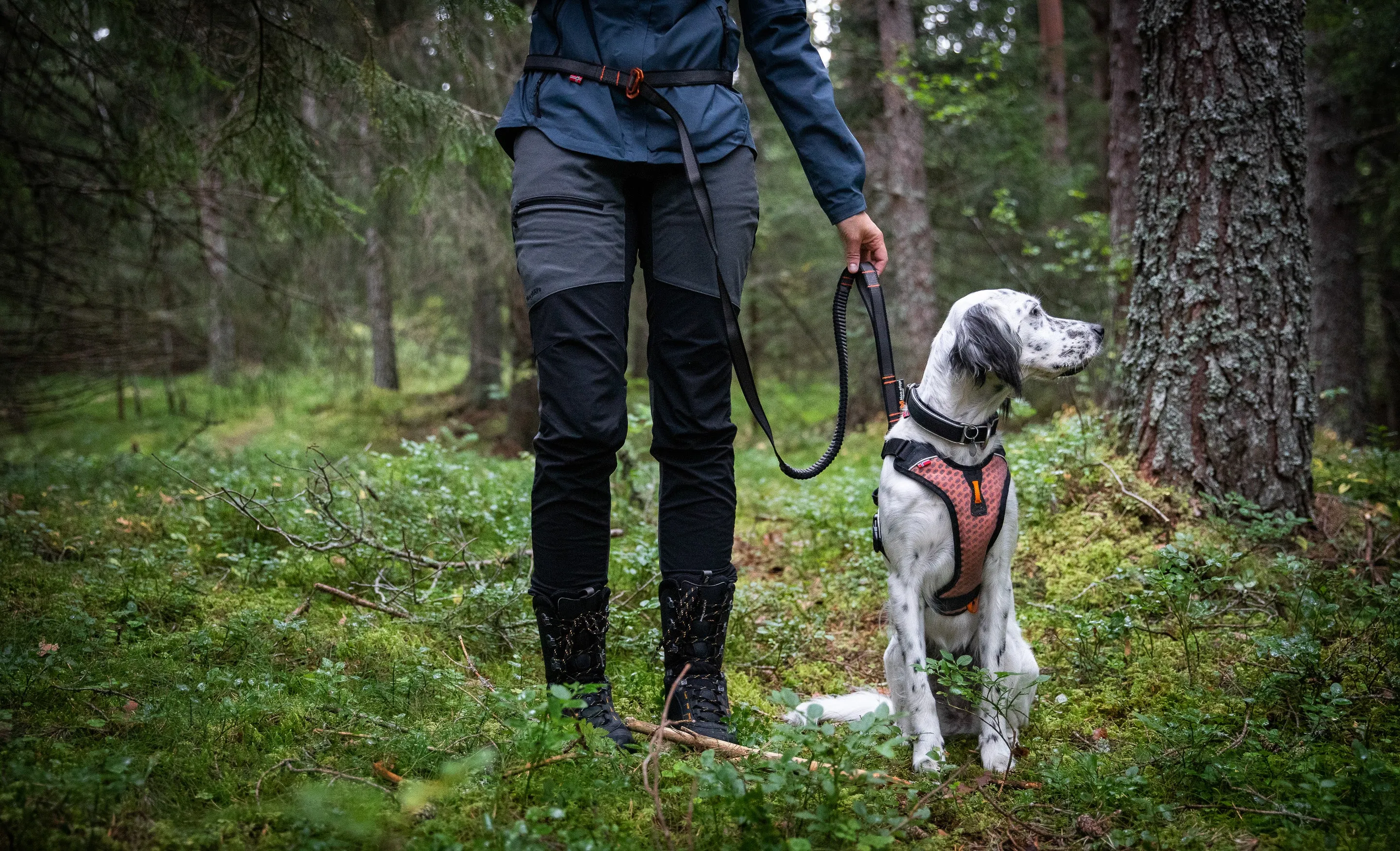 Non-Stop Dog Wear: Touring Bungee Adjustable Dog Leash