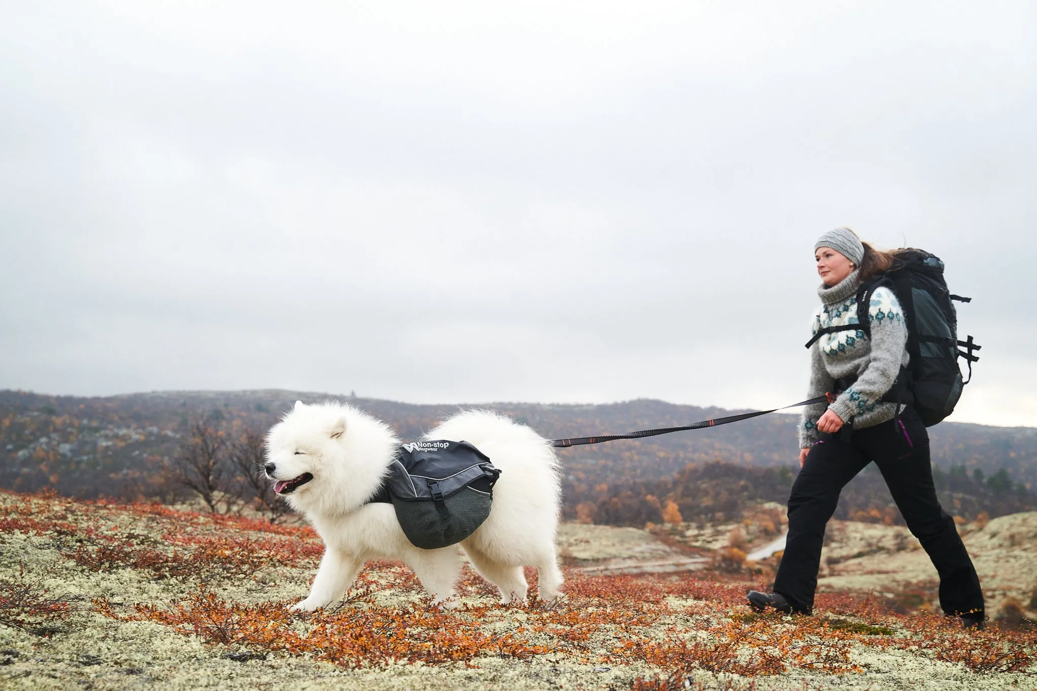 Non-Stop Dog Wear: Touring Bungee Adjustable Dog Leash