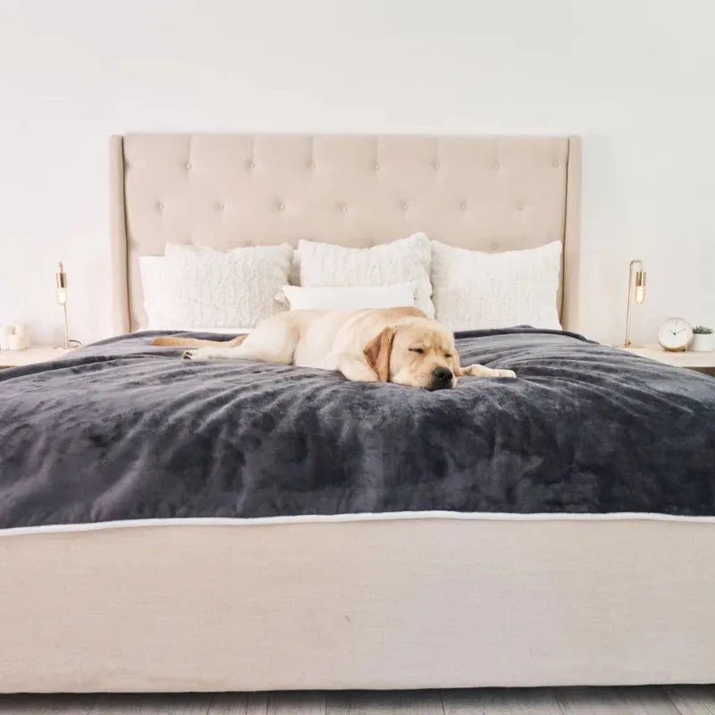 Paw Brands, PupProtector™ Waterproof Throw Blanket, Grey Velvet
