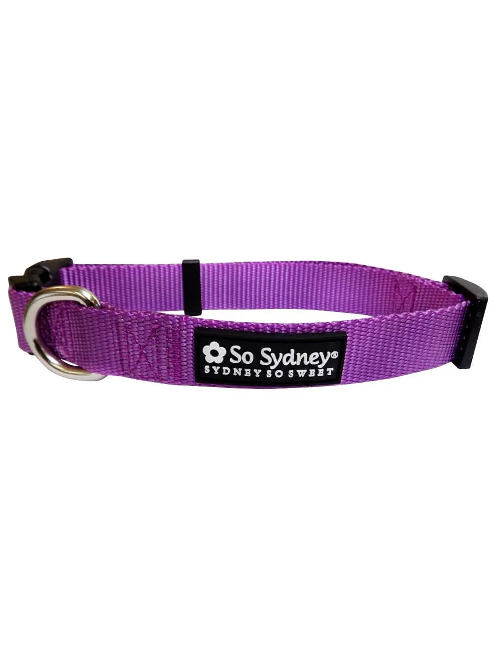 Purple Adjustable Basic Nylon Dog Collar for Small, Medium, or Large Dogs