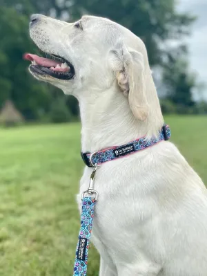 Rainbows & Unicorns Comfy, Cool, & Fun Fashion Dog Collar