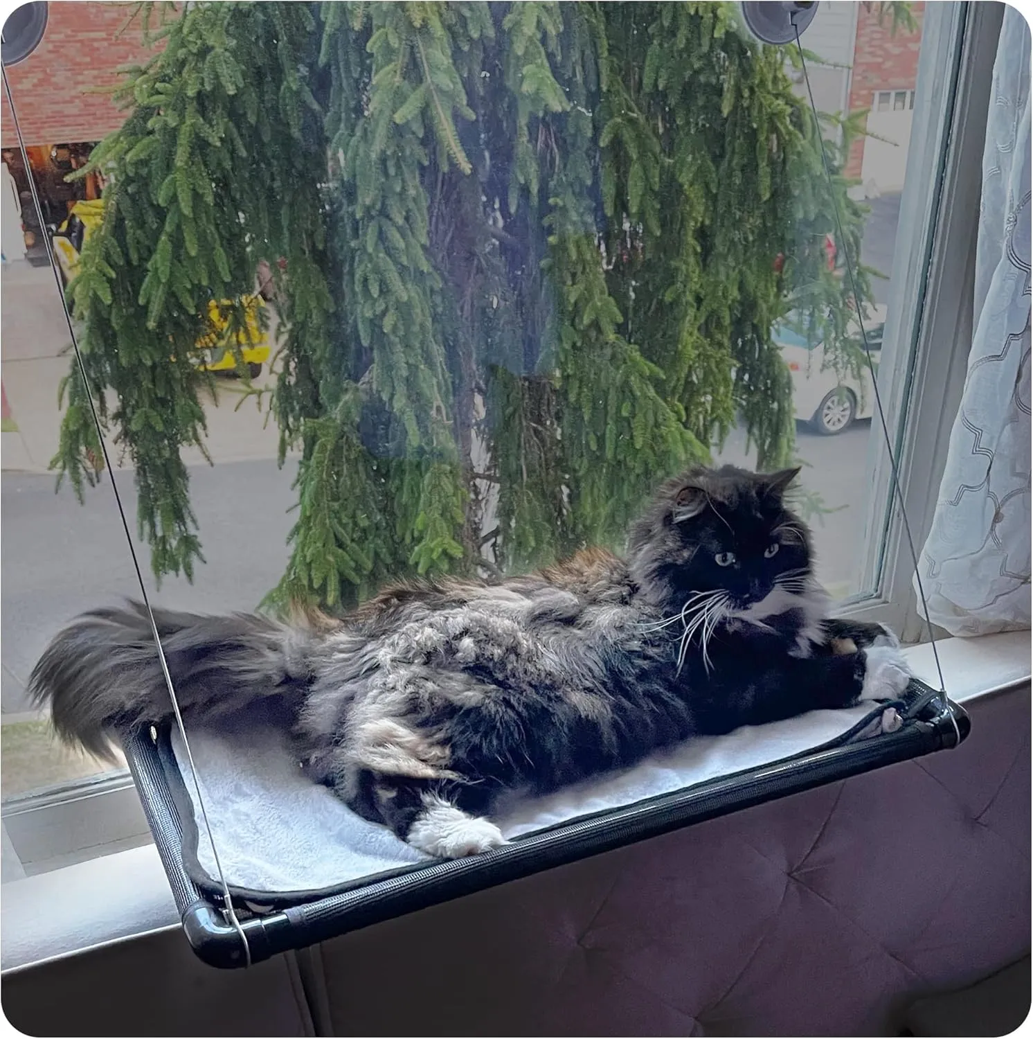 SIMENA Cat Window Hammock Perch, Window Mounted Cat Bed for Small and Large Cats, Kitty Window Perch with Strong Suction Cups, Easy to Assemble EZ Mount (21" x 12")