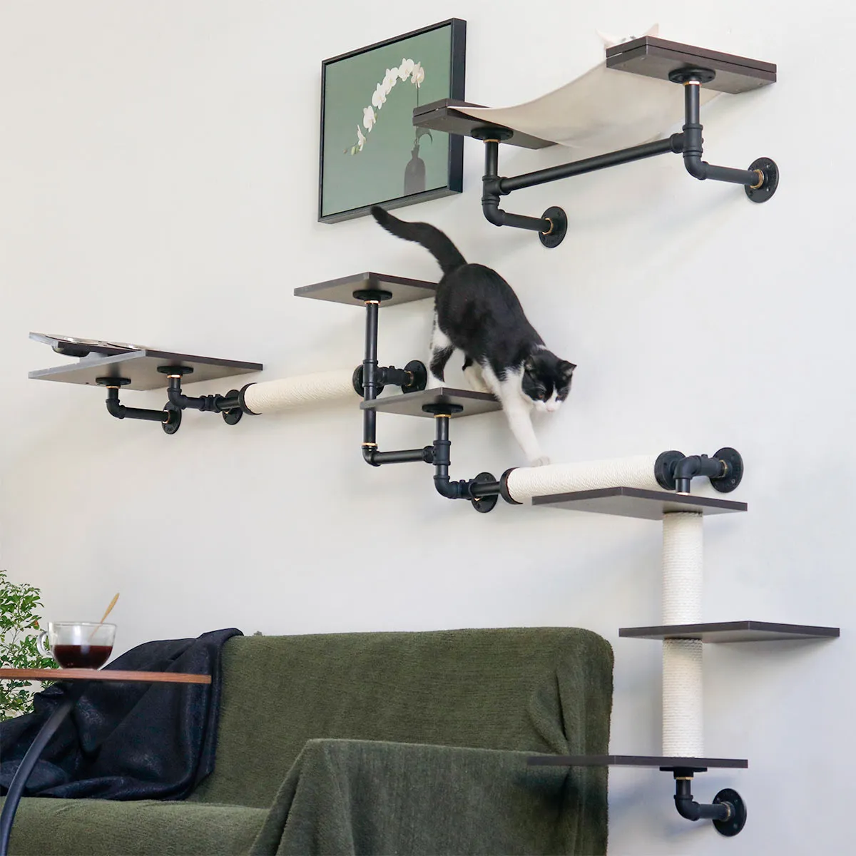 Smoky Rubber Wood Cat Shelves | Premium Wall-Mounted Cat Furniture Set
