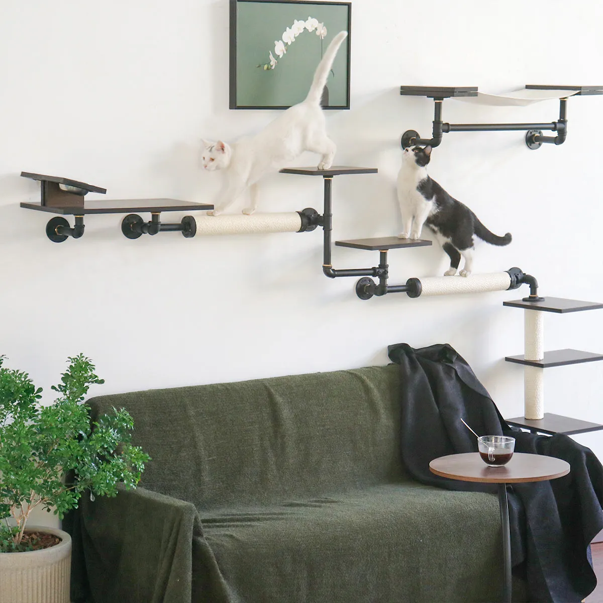 Smoky Rubber Wood Cat Shelves | Premium Wall-Mounted Cat Furniture Set