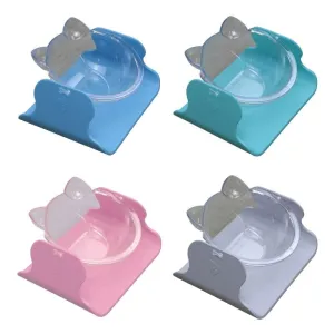 Tilted Raised Food Bowl
