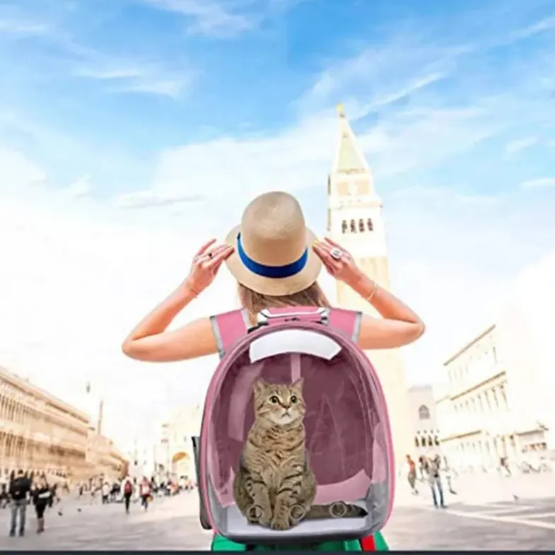 Transparent Capsule Bubble Pet Backpack